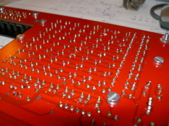 CIMG1304