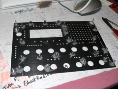 CIMG1295